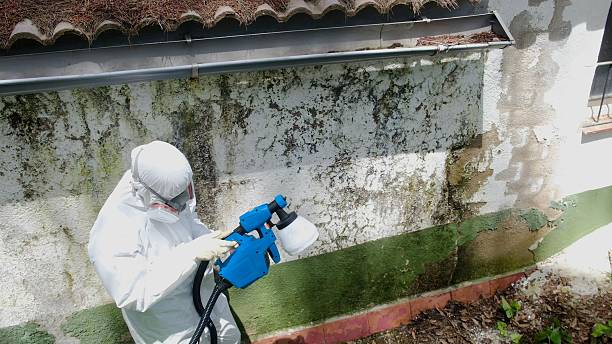 Top rated local Mold Cleanup specialists in Greenville, VA
